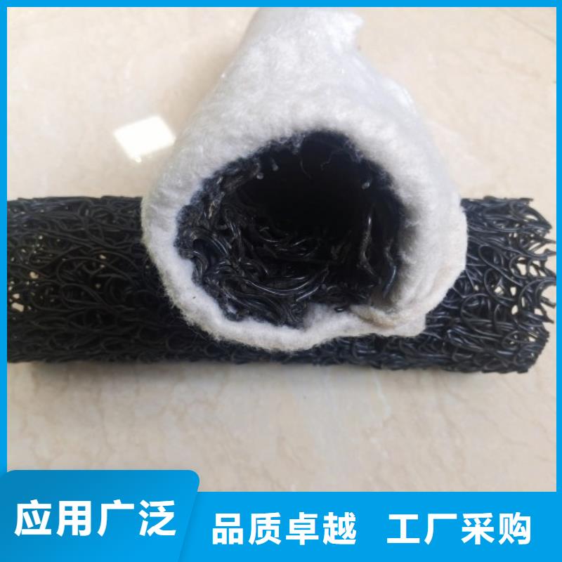 塑料盲沟土工格栅我们更专业