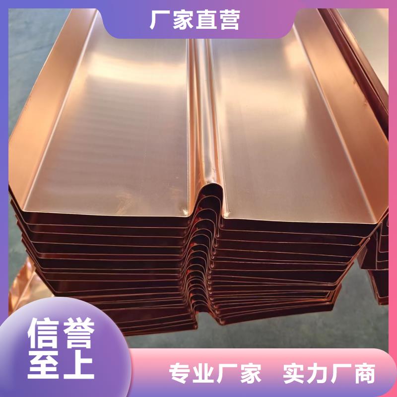 专业销售紫铜片止水带DTZ-1-现货供应
