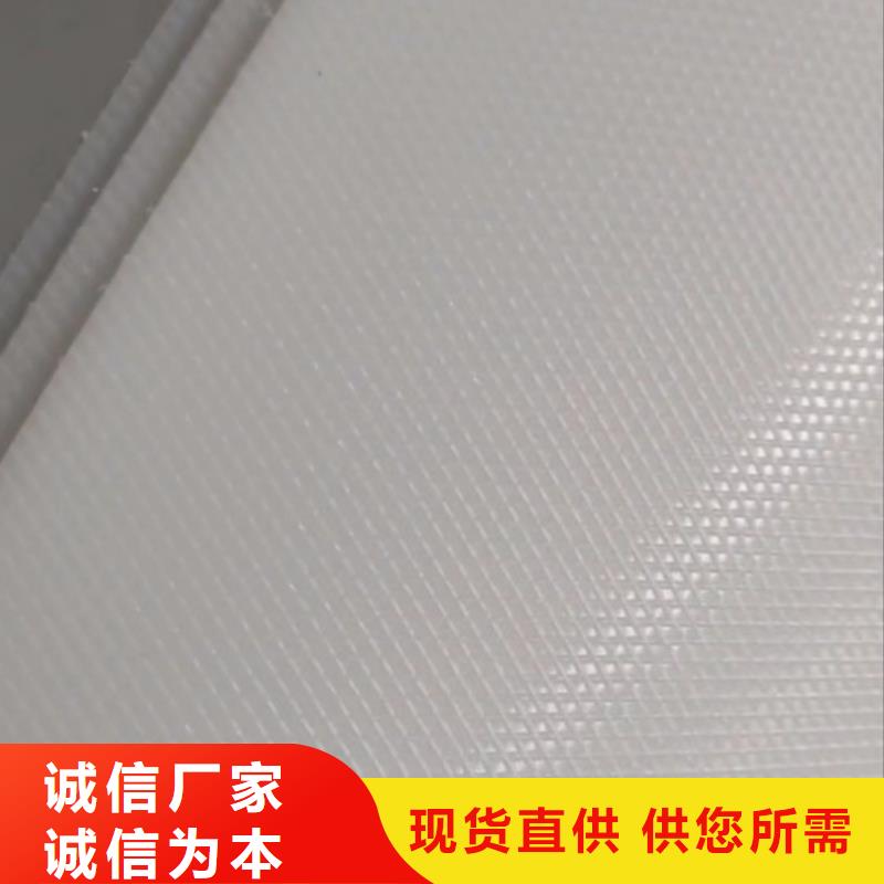 叉车推拉器塑料滑板尼龙轮品质无所畏惧