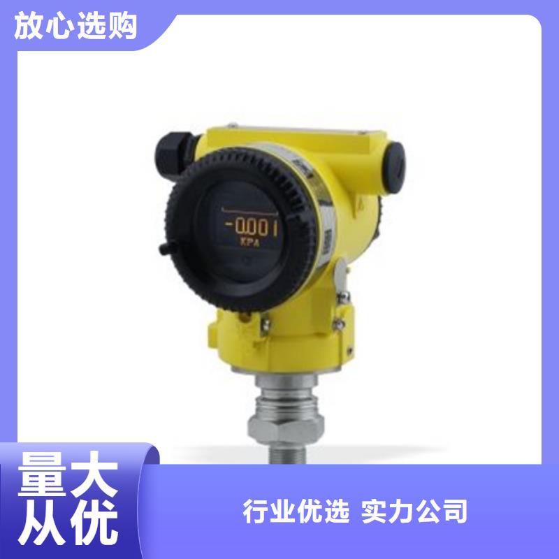SWP-ASR305-2-1/AO1、SWP-ASR305-2-1/AO1厂家-找索正自动化仪表