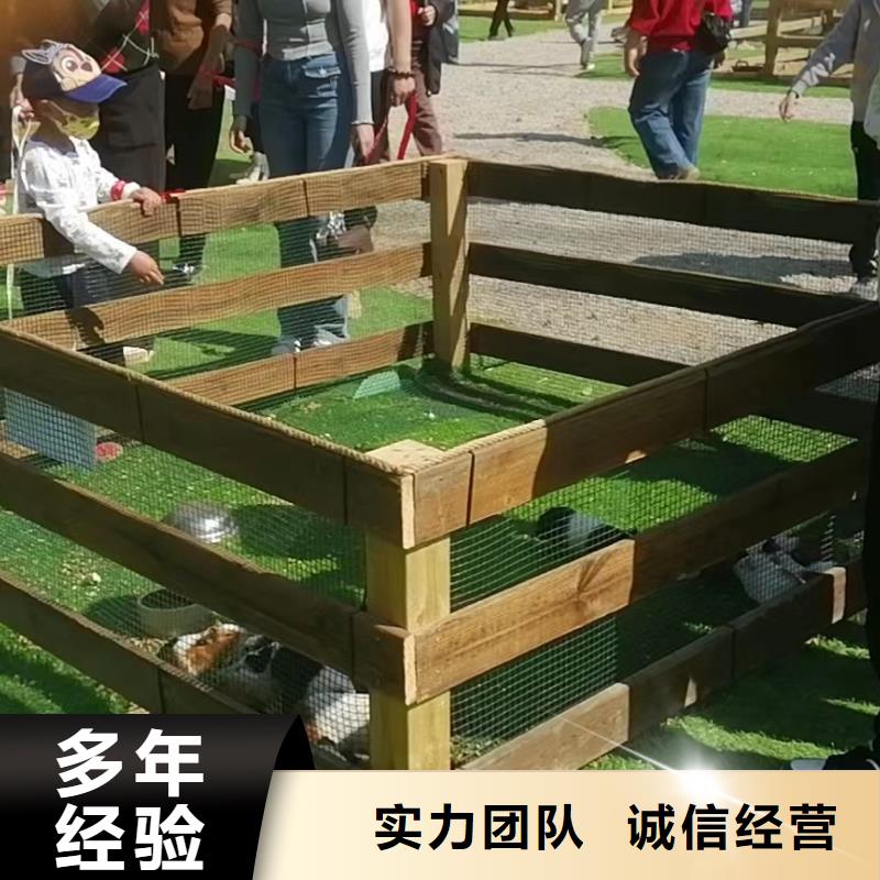 马戏团/羊驼,【企鹅表演出租】技术成熟
