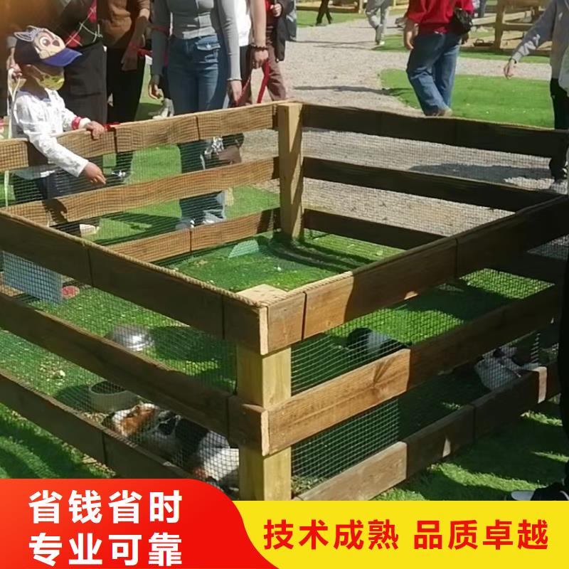 马戏团/羊驼_羊驼出租拒绝虚高价