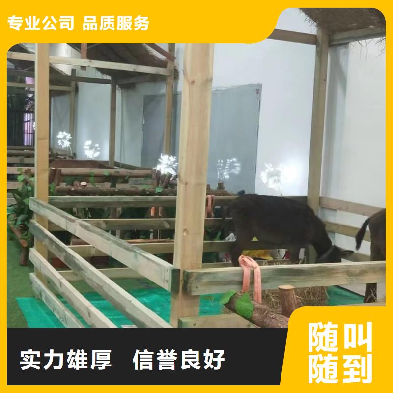 马戏团/羊驼_商场马戏表演出租专业公司
