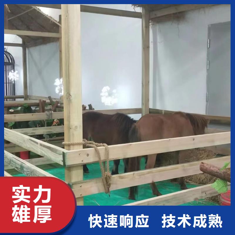 马戏团/羊驼马戏团表演出租租赁高性价比