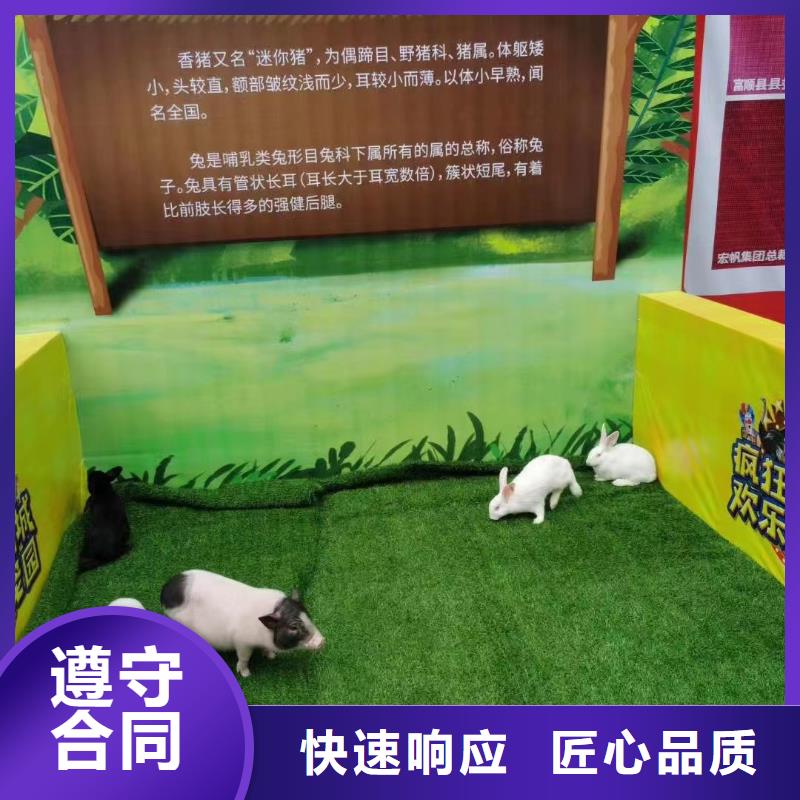 马戏团/羊驼-出租表演海狮诚信
