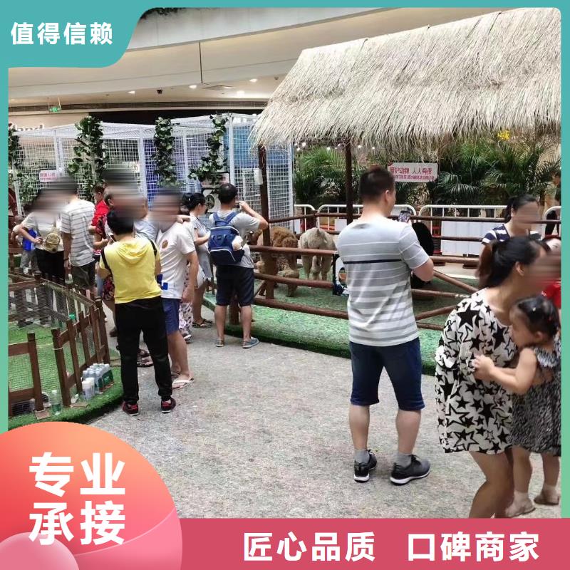 马戏团/羊驼杂技表演实力团队