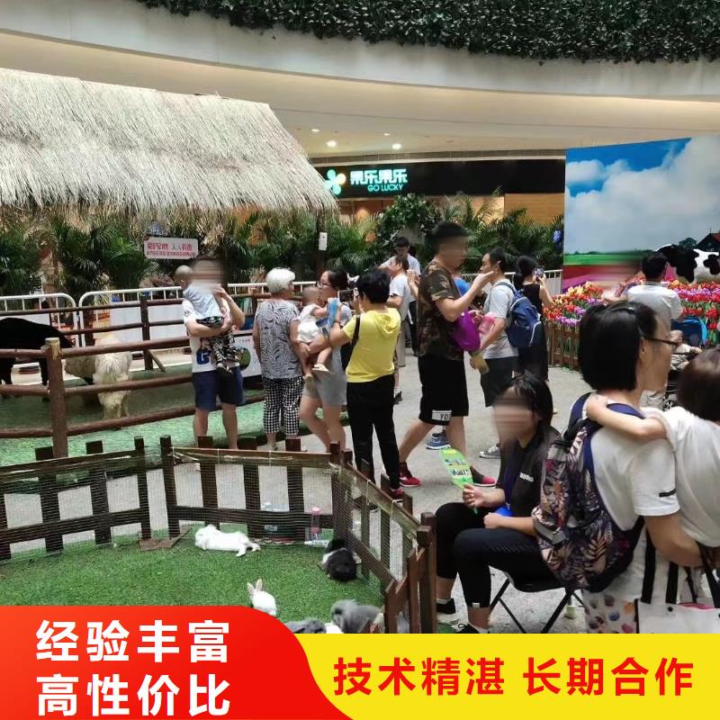 马戏团/羊驼租赁美人鱼表演效果满意为止