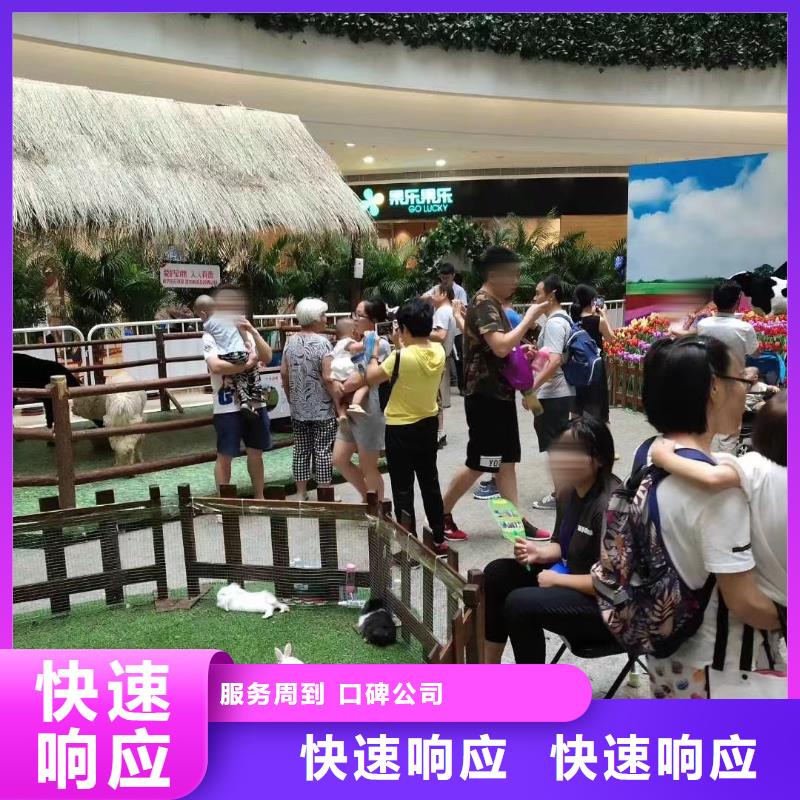 马戏团/羊驼出租马戏团表演正规公司
