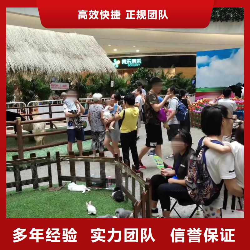 马戏团/羊驼,【马戏团表演出租租赁】实力团队