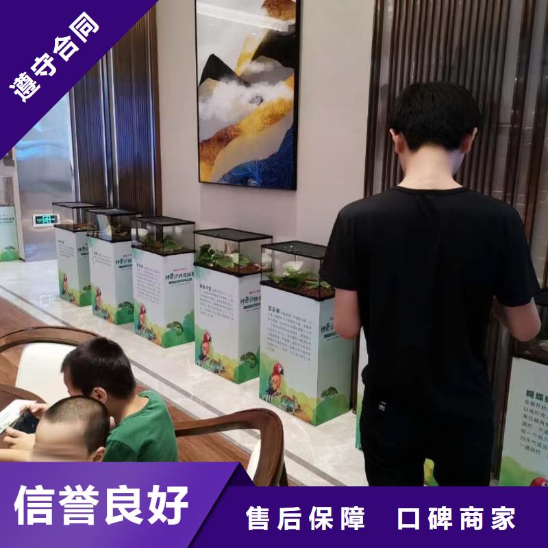 马戏团/羊驼 【出租羊驼】专业承接