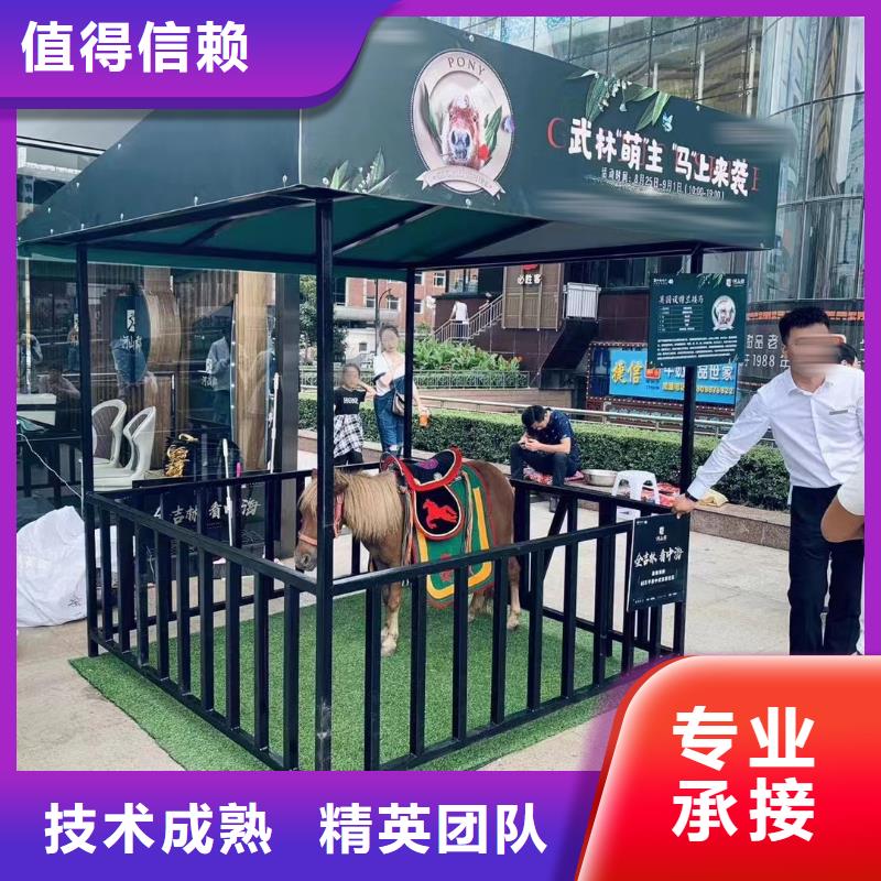 马戏团/羊驼出租表演企鹅经验丰富