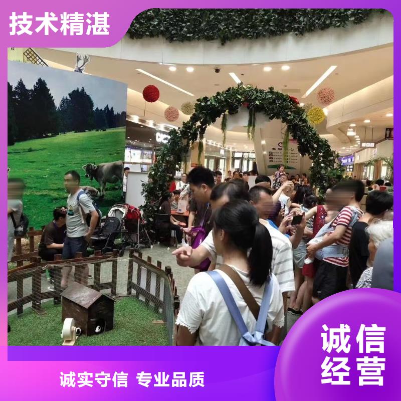 马戏团/羊驼-出租马戏表演技术可靠