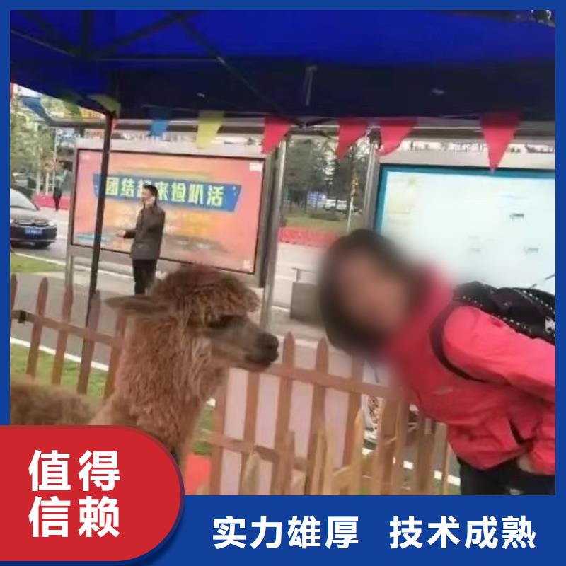 马戏团/羊驼-马戏团表演出租租赁专业可靠