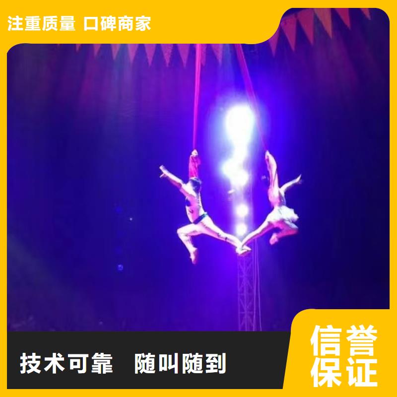 马戏团/羊驼【海狮杂技表演】靠谱商家