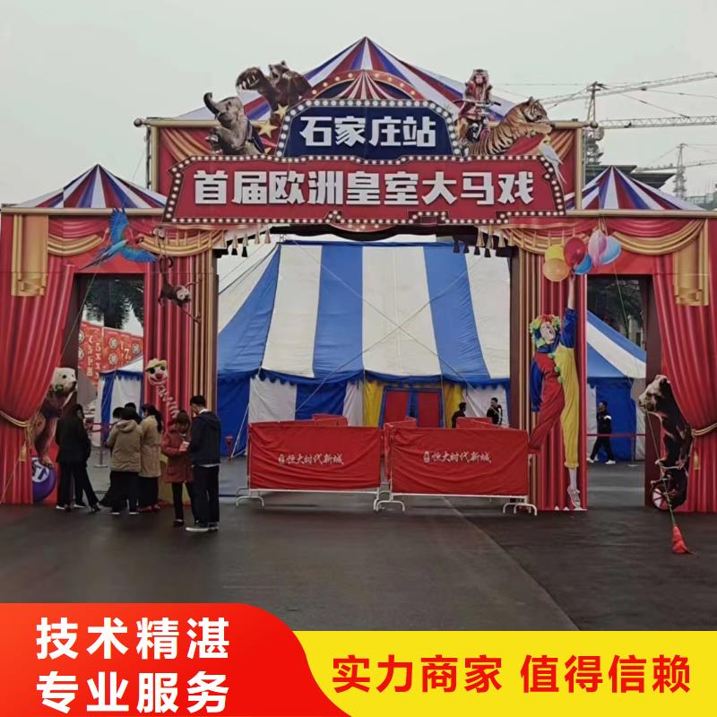 【马戏团/羊驼出租马戏表演专业承接】
