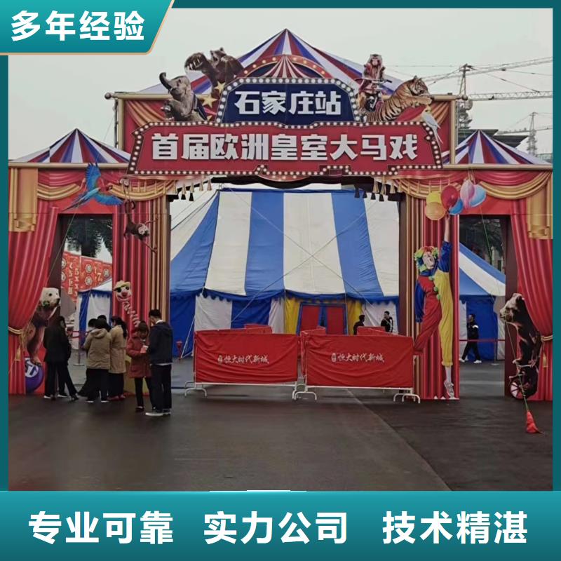 小香猪宠物出租-视频-内蒙古呼和浩特市|赤峰|乌兰察布|鄂尔多斯|呼伦贝尔小香猪宠物出租-兮洋