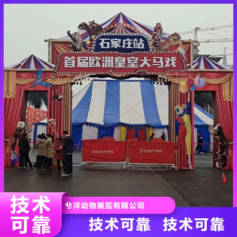马戏团/羊驼出租马戏团表演欢迎合作