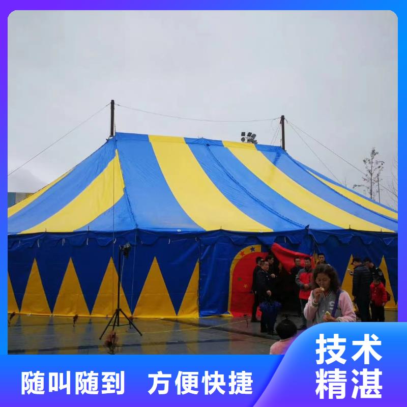 马戏团/羊驼 鹦鹉表演价格美丽
