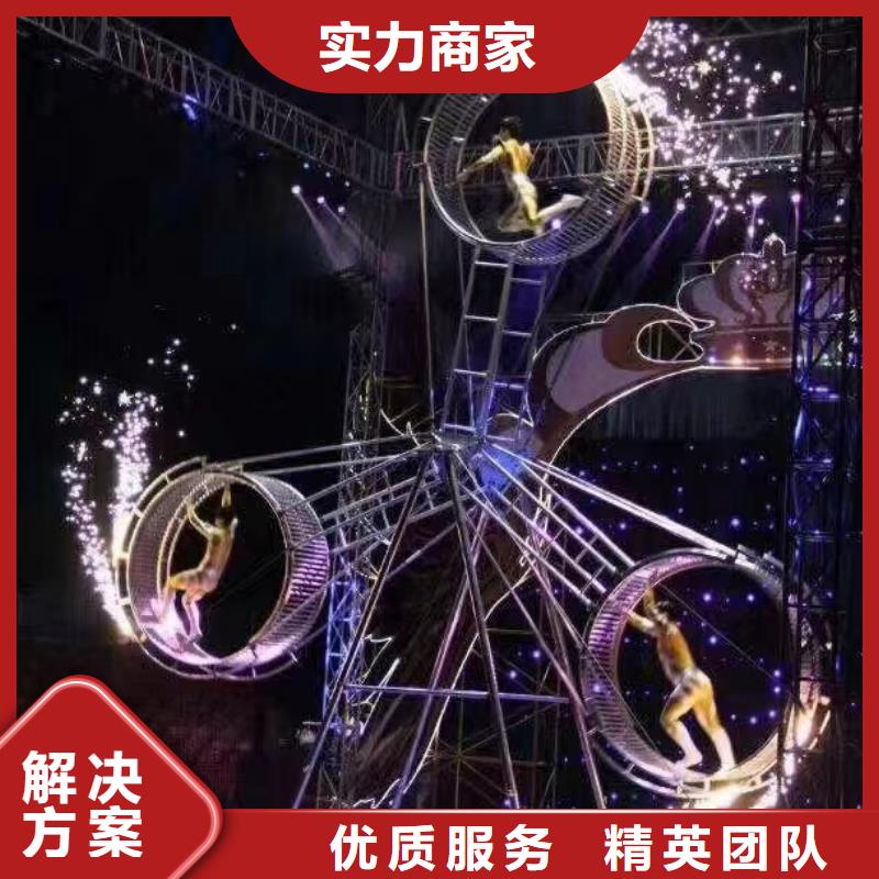 马戏团/羊驼出租马戏表演团队