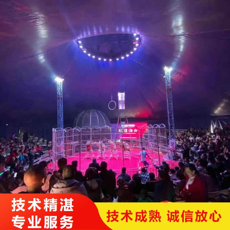 马戏团/羊驼海狮表演出租讲究信誉