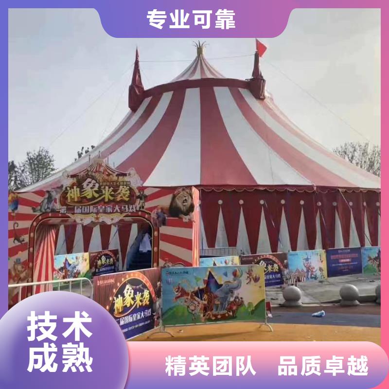 马戏团/羊驼【海狮表演】品质卓越