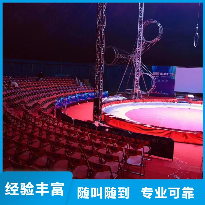 马戏团/羊驼羊驼出租信誉保证