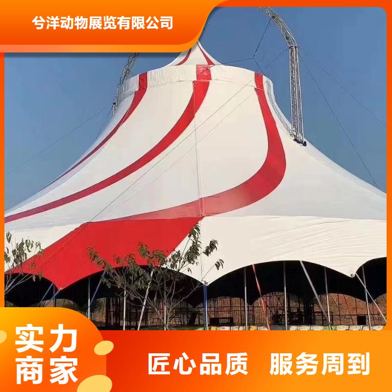 马戏团/羊驼,【马戏团表演出租租赁】实力团队