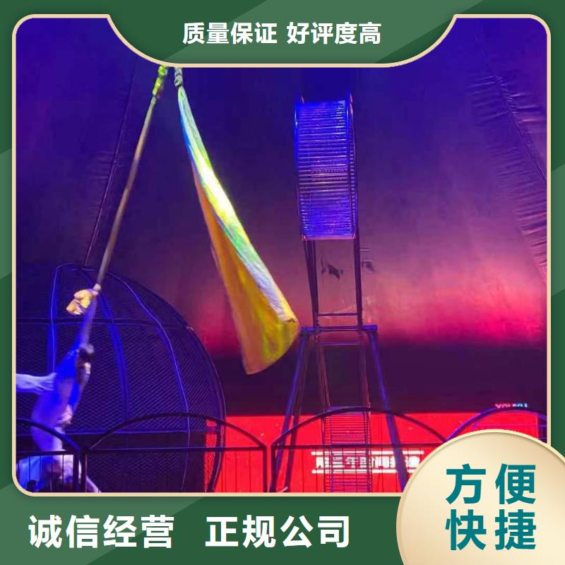 马戏团/羊驼萌宠动物展出租行业口碑好
