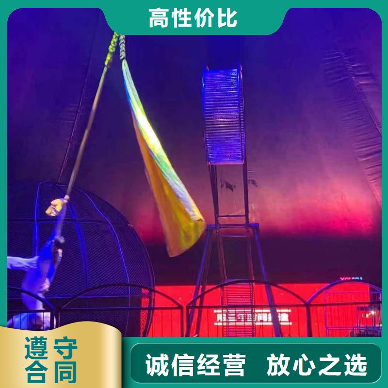 马戏团/羊驼死轮表演比同行便宜