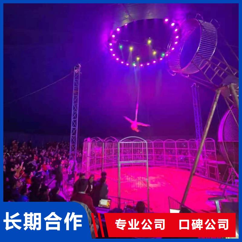 马戏团/羊驼企鹅出租一对一服务