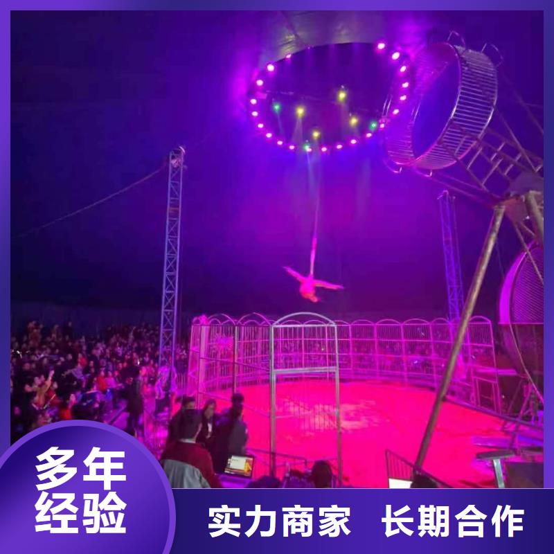 马戏团/羊驼小马戏表演出租信誉良好