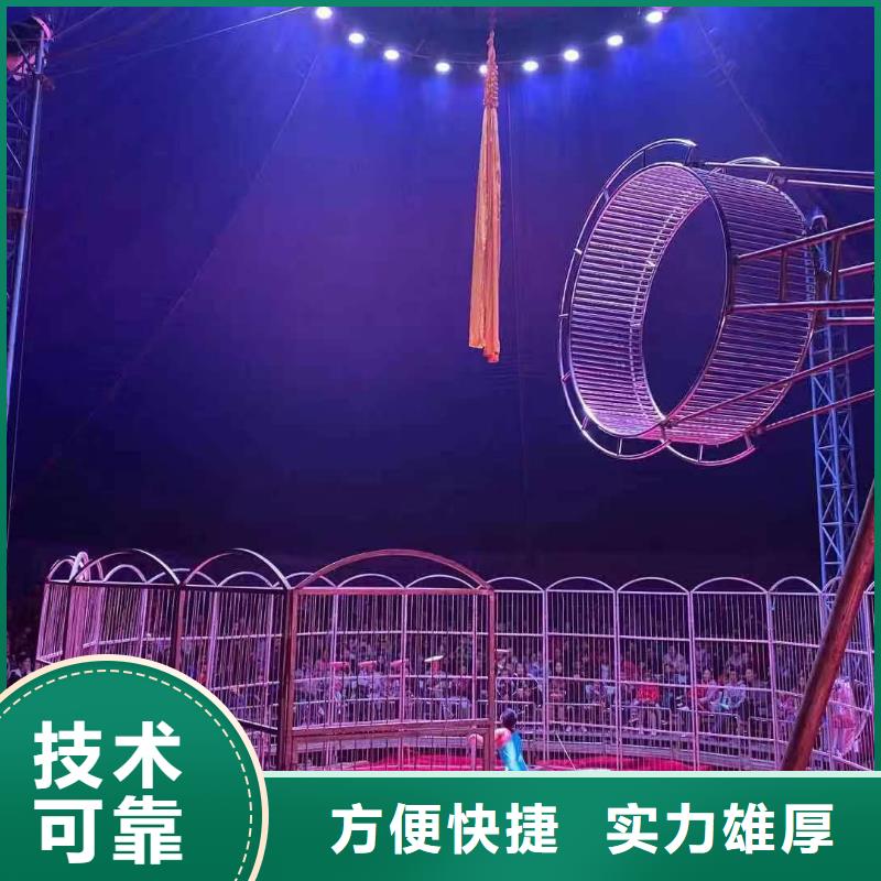 马戏团/羊驼死轮表演比同行便宜