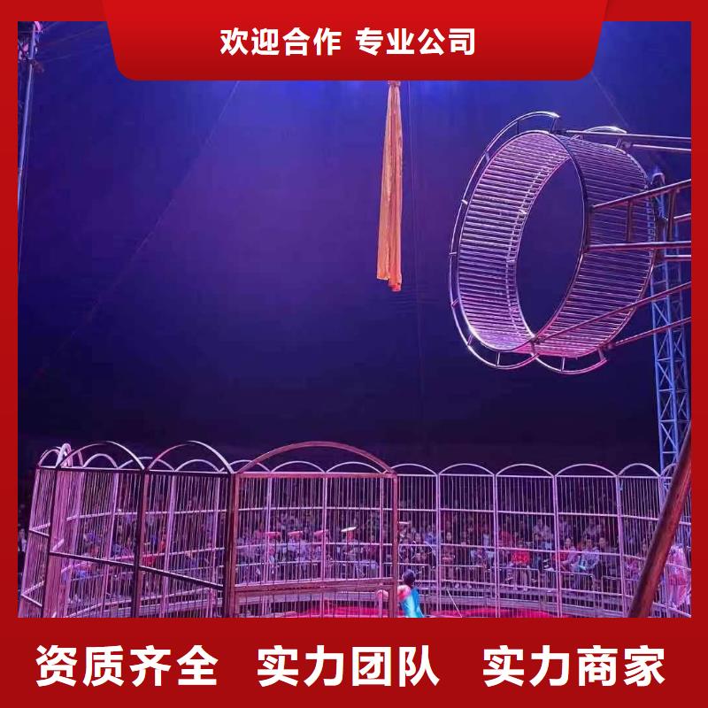 马戏团/羊驼,【出租马戏团表演】服务周到