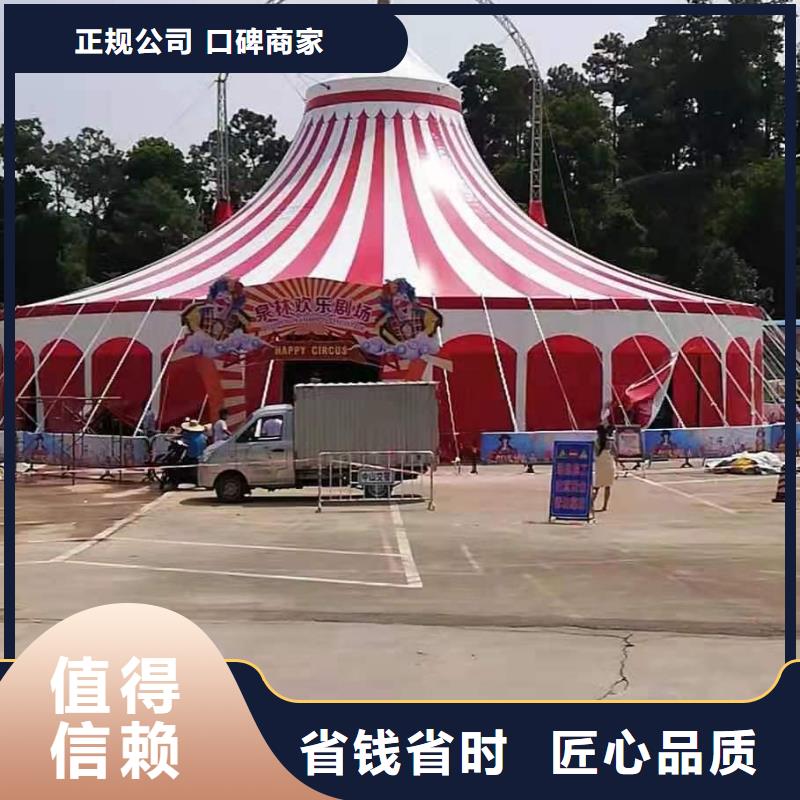 马戏团/羊驼【海狮表演租赁】一站式服务