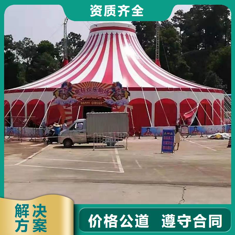 马戏团/羊驼,景区杂技表演齐全