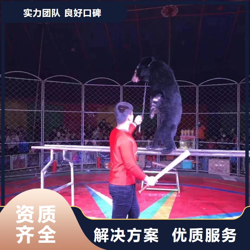 【马戏团/羊驼-海洋展租赁靠谱商家】