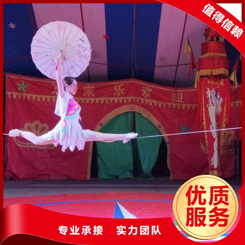 马戏团/羊驼_出租海狮表演专业承接