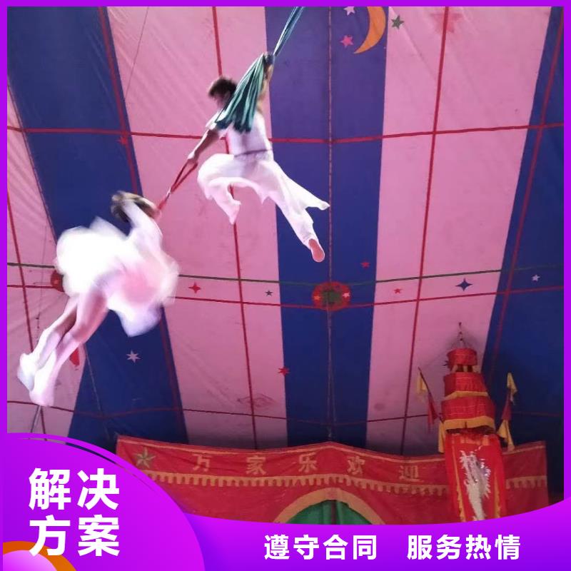 口碑公司马戏团/羊驼_【海狮表演出租】靠谱商家_兮洋动物展览有限公司