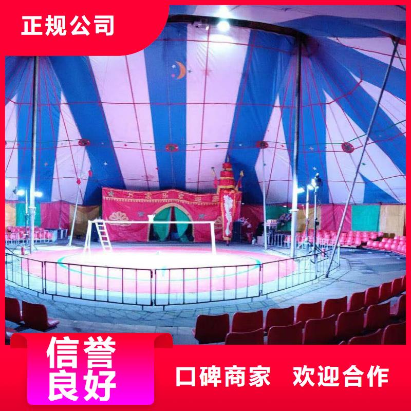 马戏团/羊驼【海狮租赁表演】放心