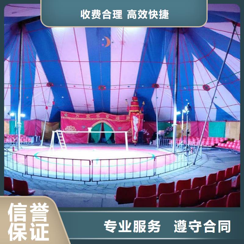 马戏团/羊驼观赏性羊驼租赁24小时为您服务