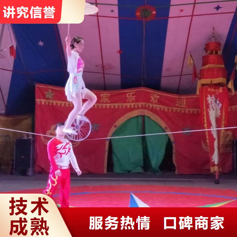 马戏团/羊驼小马戏表演出租信誉良好