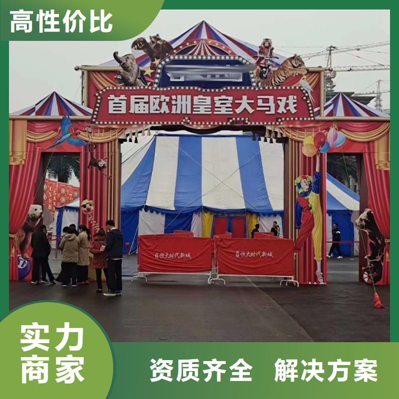 马戏团/羊驼海狮表演出租收费合理
