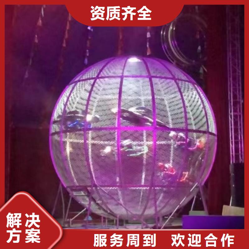 小香猪宠物出租-视频-沙洋|掇刀|黄石|十堰|鄂州|宜昌|襄阳|随州|孝感小香猪宠物出租售后保障-兮洋动物展览(荆门市分公司)