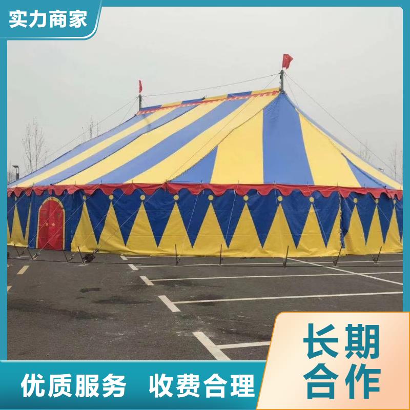 【马戏团/羊驼】,观赏性羊驼租赁优质服务