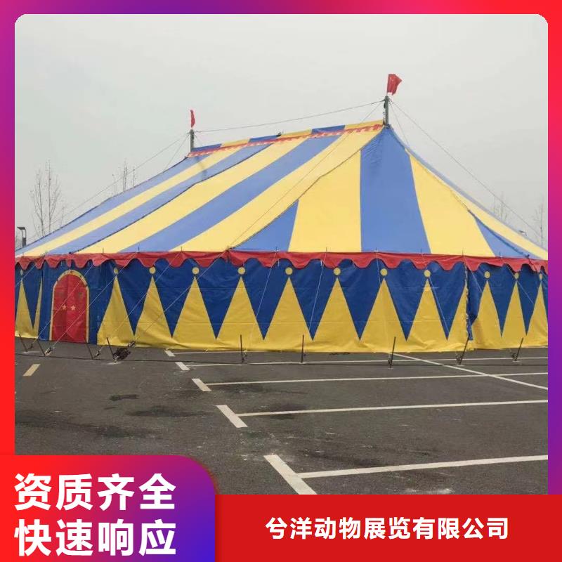 马戏团/羊驼小马戏出租诚实守信