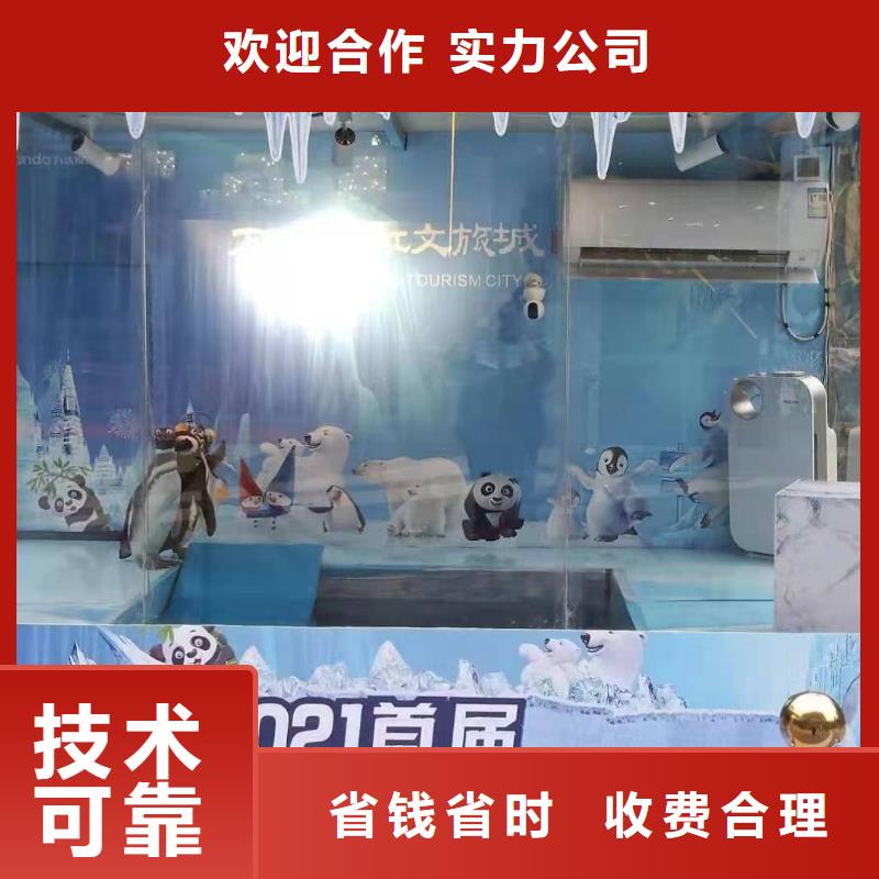 海洋主题动物表演出租动物表演质量保证