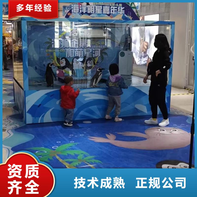 【海洋主题动物表演】企鹅出租表演诚信