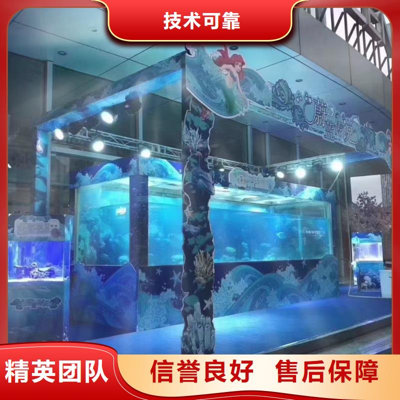 海洋主题动物表演美人鱼表演出租放心