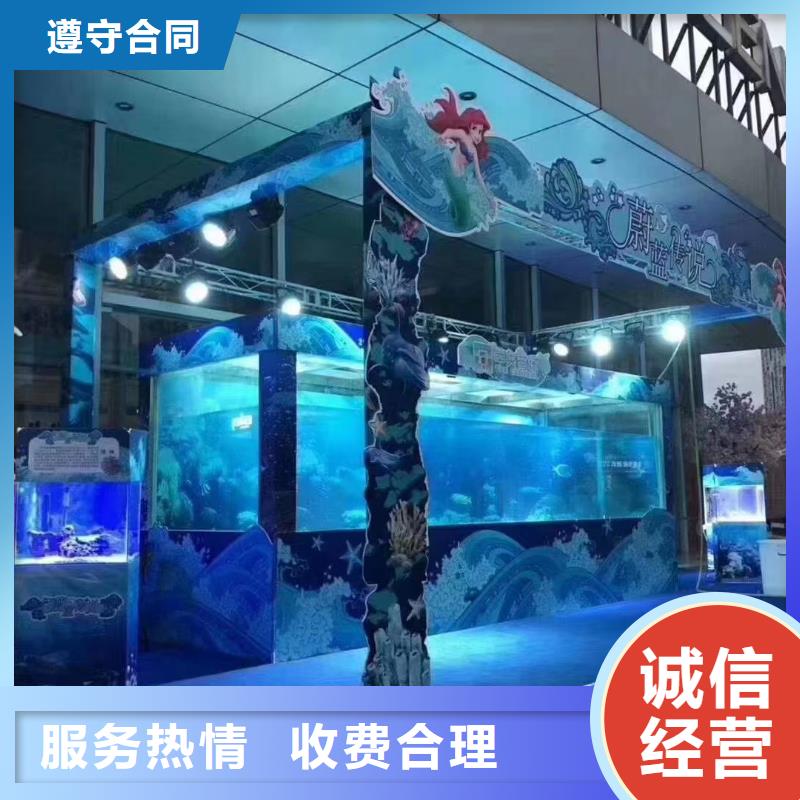 海洋主题动物表演杂技表演租赁服务一对一服务