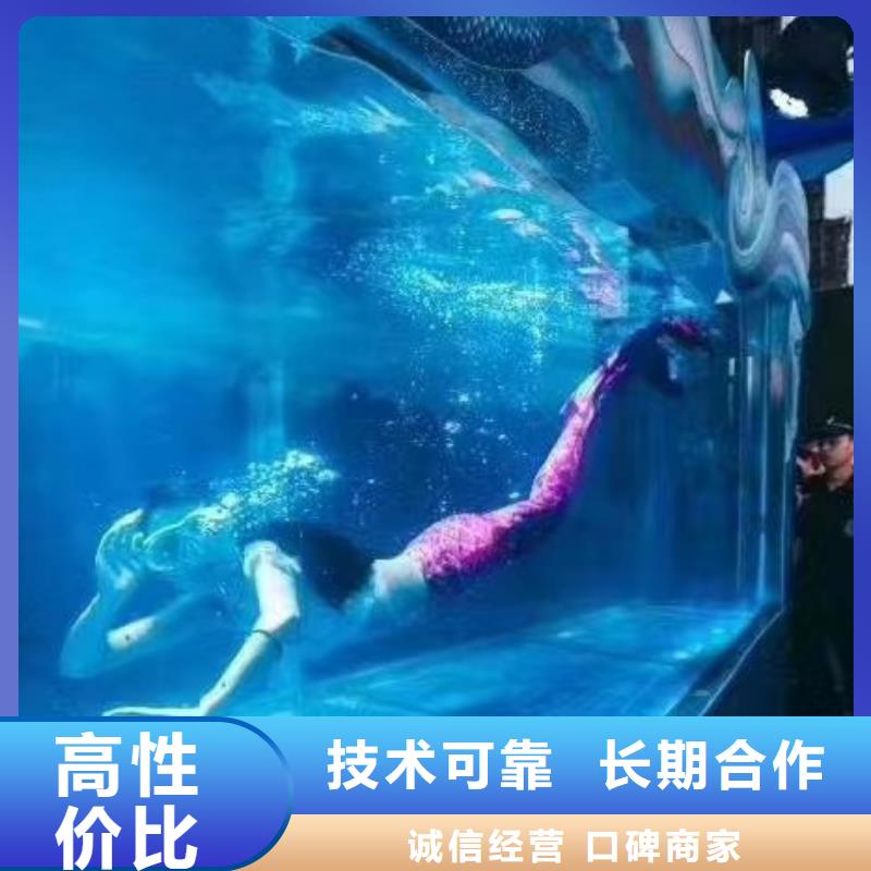 海洋主题动物表演海洋展租赁值得信赖